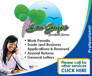 SeaGrape-Secretarial-Services